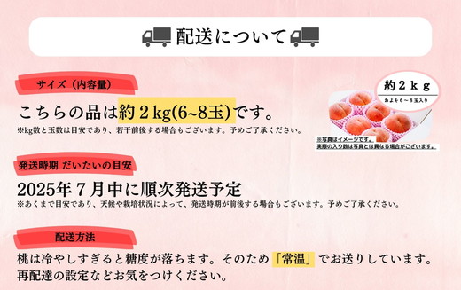 ◆2025年夏発送◆暁星～産直・桃・約2kg～ ｜ 先行予約 予約 数量限定 桃 もも モモ 果物 くだもの フルーツ 詰め合わせ 福島 ふくしま　※離島への配送不可　※2025年7月上旬～7月下旬頃に順次発送予定