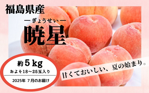 ◆2025年夏発送◆暁星～産直・桃・約5kg～ ｜ 先行予約 予約 数量限定 桃 もも モモ 果物 くだもの フルーツ 詰め合わせ 福島 ふくしま　※離島への配送不可　※2025年7月上旬～7月下旬頃に順次発送予定