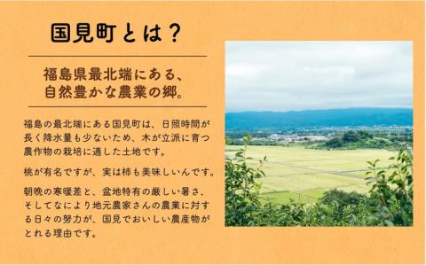 ◆2025年秋発送◆＜ 種無し柿（樹上脱渋）・約5kg ＞  ※2025年10月下旬～11月下旬頃に順次発送予定