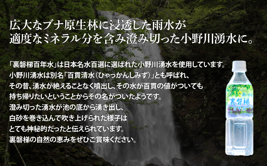 【6ヵ月定期便】裏磐梯百年水 ナチュラルミネラルウォーター（500ml×24本×6回） KBJ038