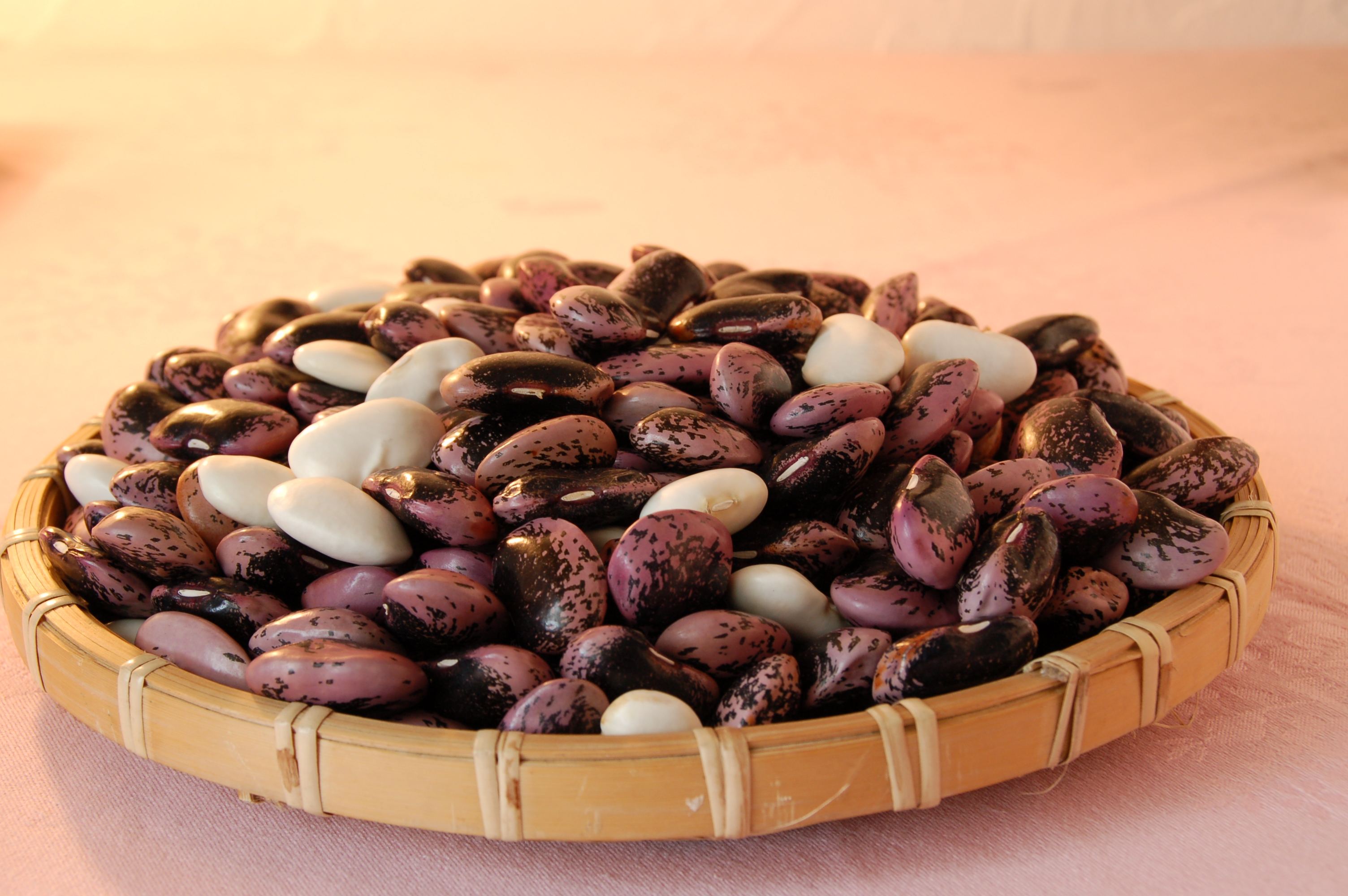 闃ア雖√&縺輔£郛カ隧ー繧(3郛カ繧サ繝繝) KBJ001