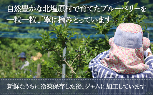ブルーベリージャム100g×3個セット(石井ブルーベリー園) KBI001
