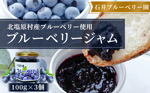 ブルーベリージャム100g×3個セット(石井ブルーベリー園) KBI001