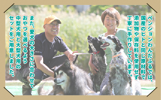 ããã³ã·ã§ã³ããã ãµããç¬ã®ç¡æ·»å ãã〠ïŒçš®ã»ããã倧åç¬çšã KBAB002