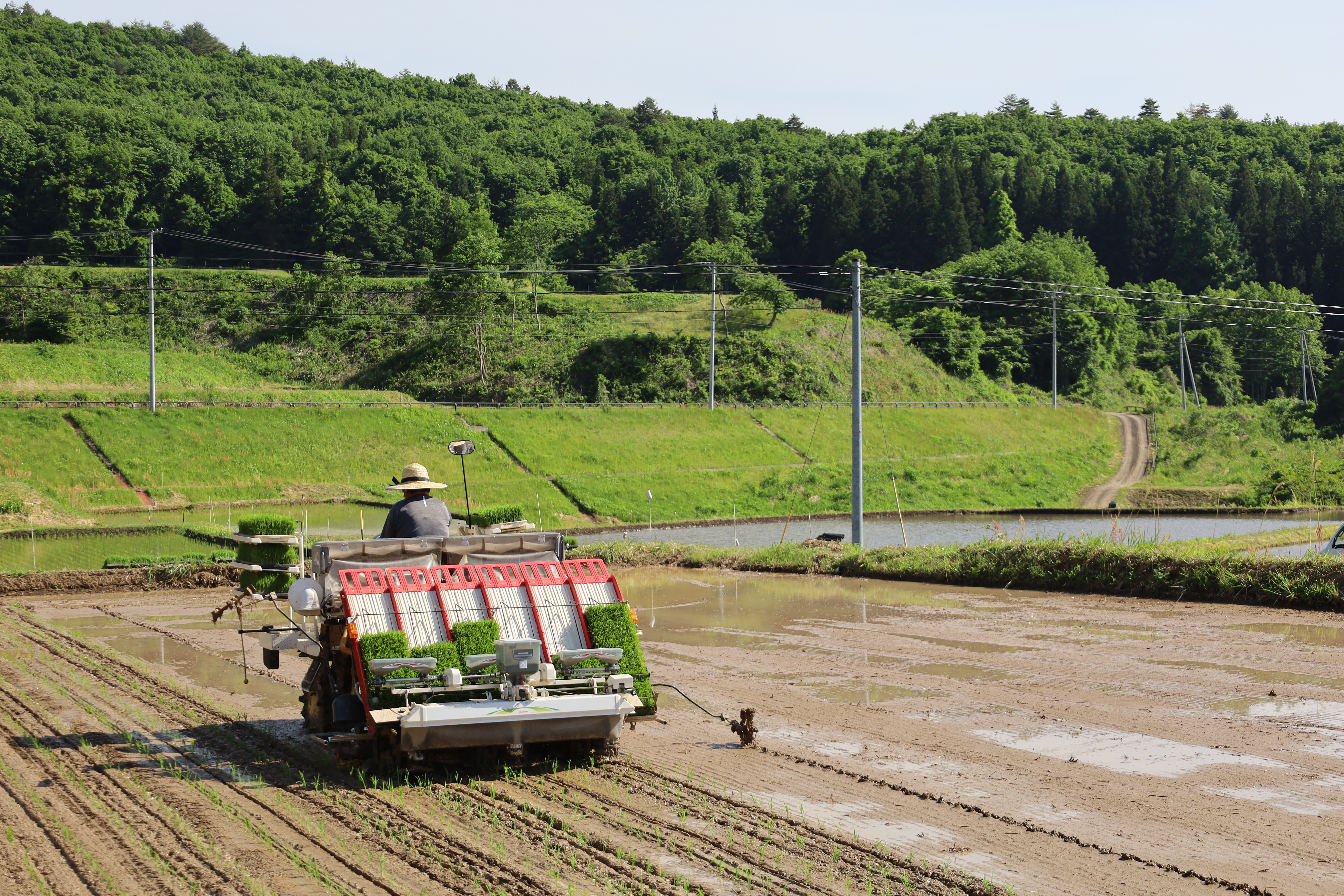 【先行予約/令和7年産 新米】【3ヶ月定期便】会津・北塩原村産「ひとめぼれ」5kg×3回お届け(大塩棚田米・標高500ｍ里山栽培） KBK014