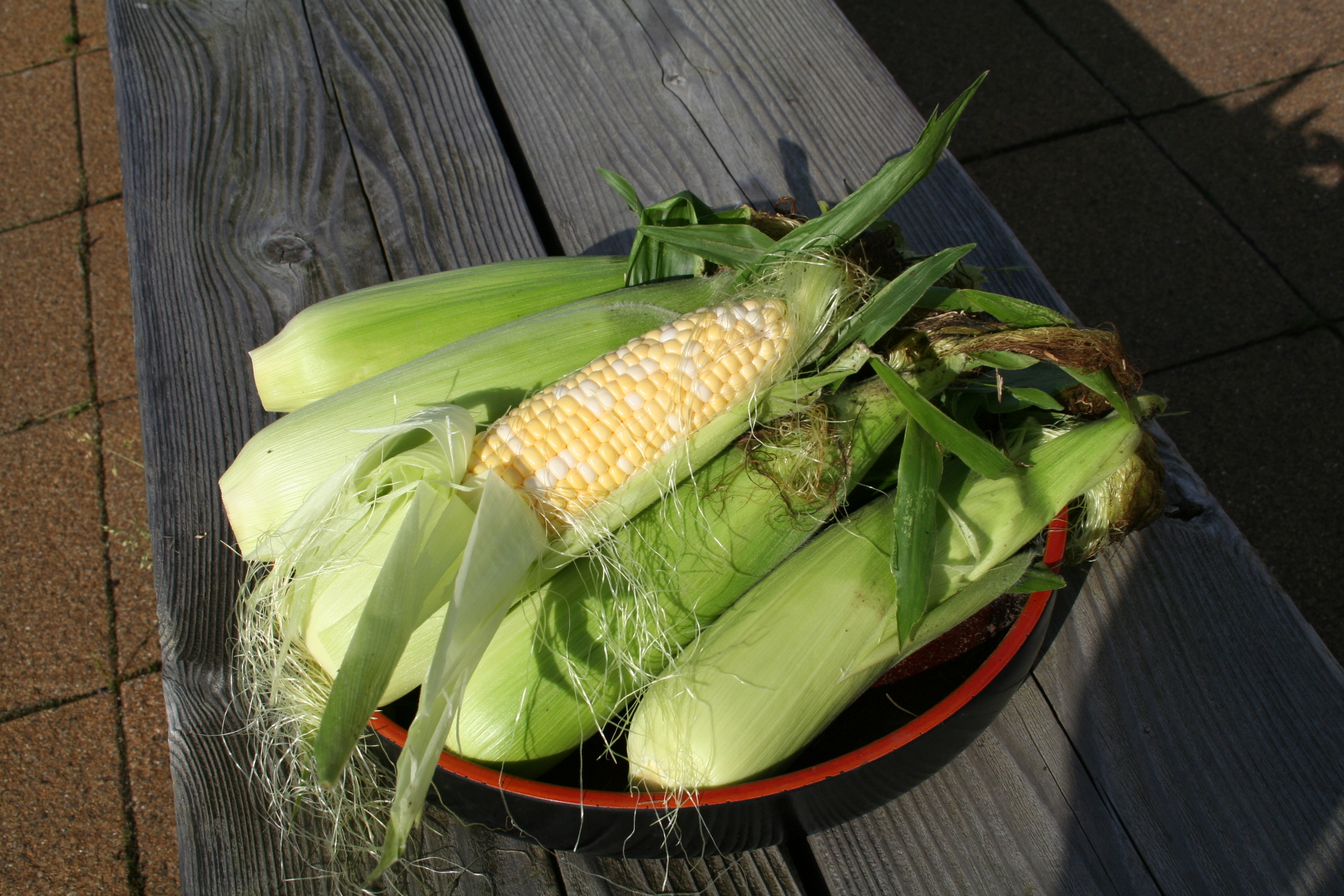 朝採れとうもろこし 20本セット 2L KBJ007