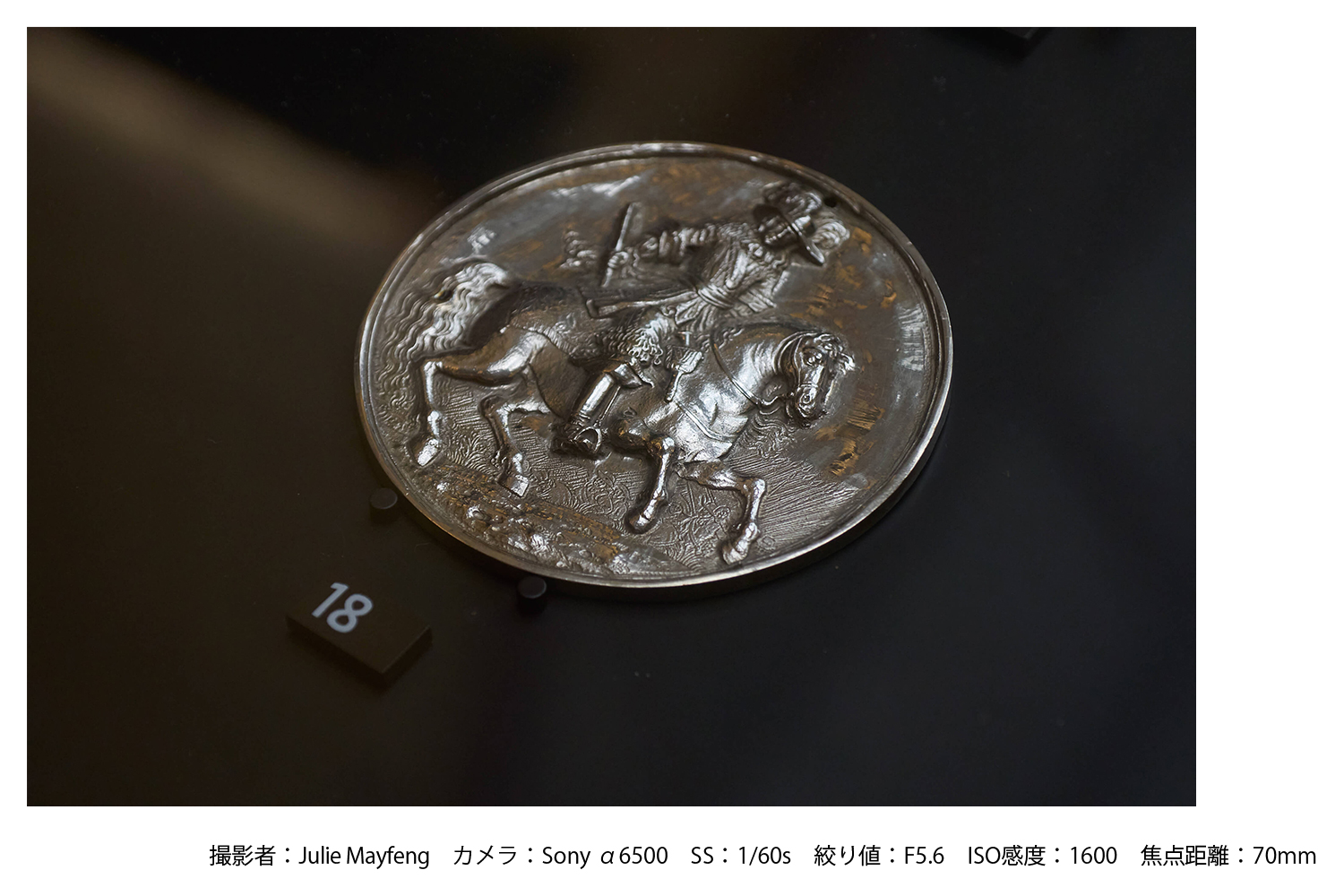 SIGMA 16-300mm F3.5-6.7 DC OS | Contemporary【富士フイルムXマウント】