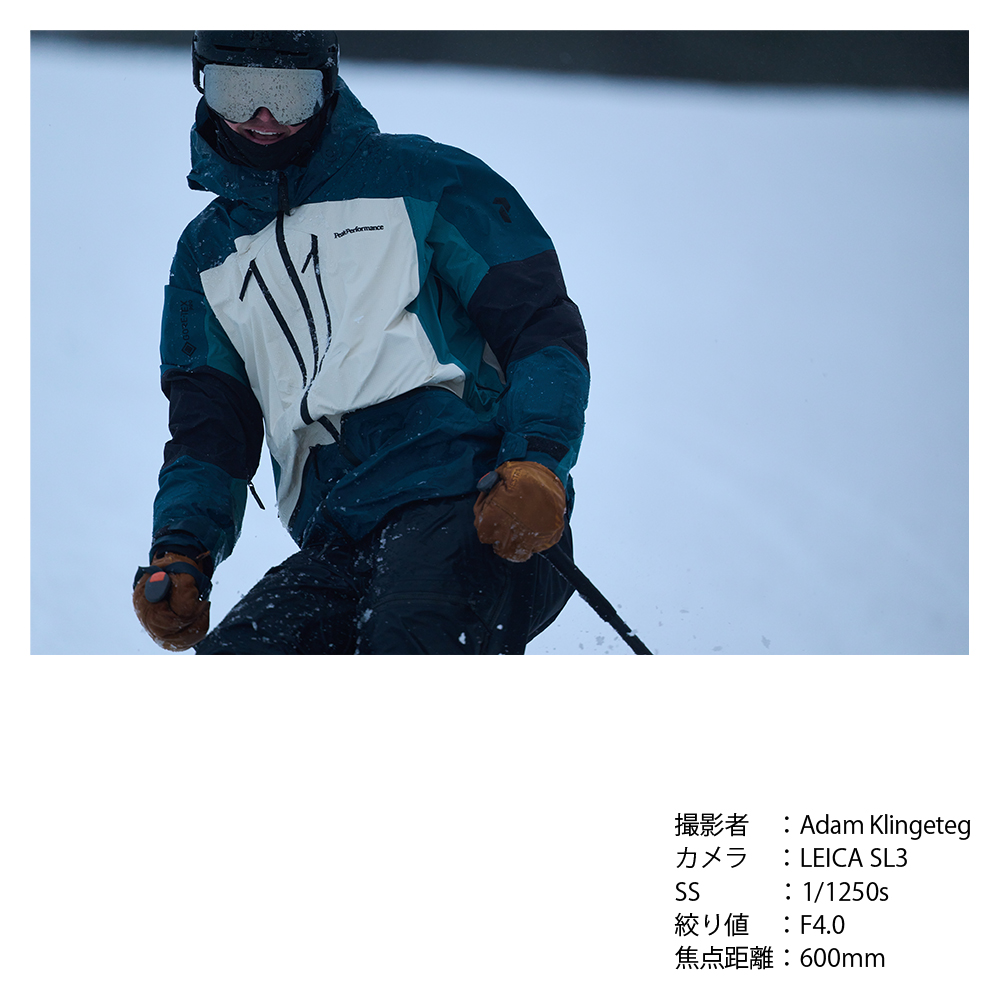 SIGMA 300-600mm F4 DG OS | SportsããœããŒEããŠã³ãã