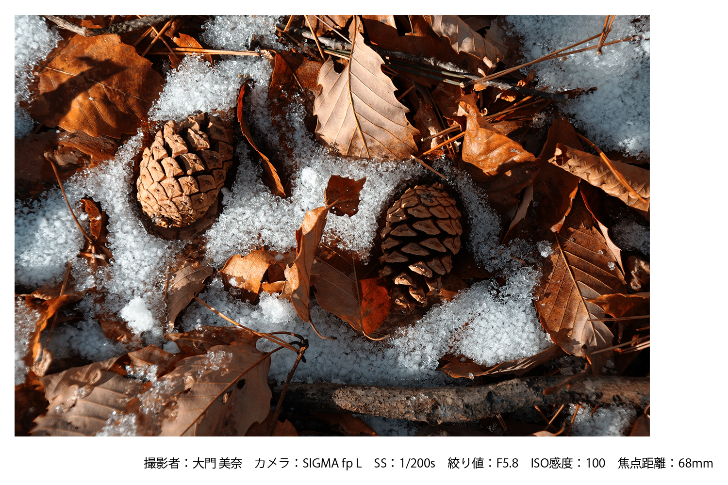 SIGMA 16-300mm F3.5-6.7 DC OS | Contemporary縲舌く繝、繝弱ΦRF繝槭え繝ウ繝医