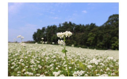 有機JAS認証の玄蕎麦使用「会津のかおり」蕎麦の実（まるぬき）800g