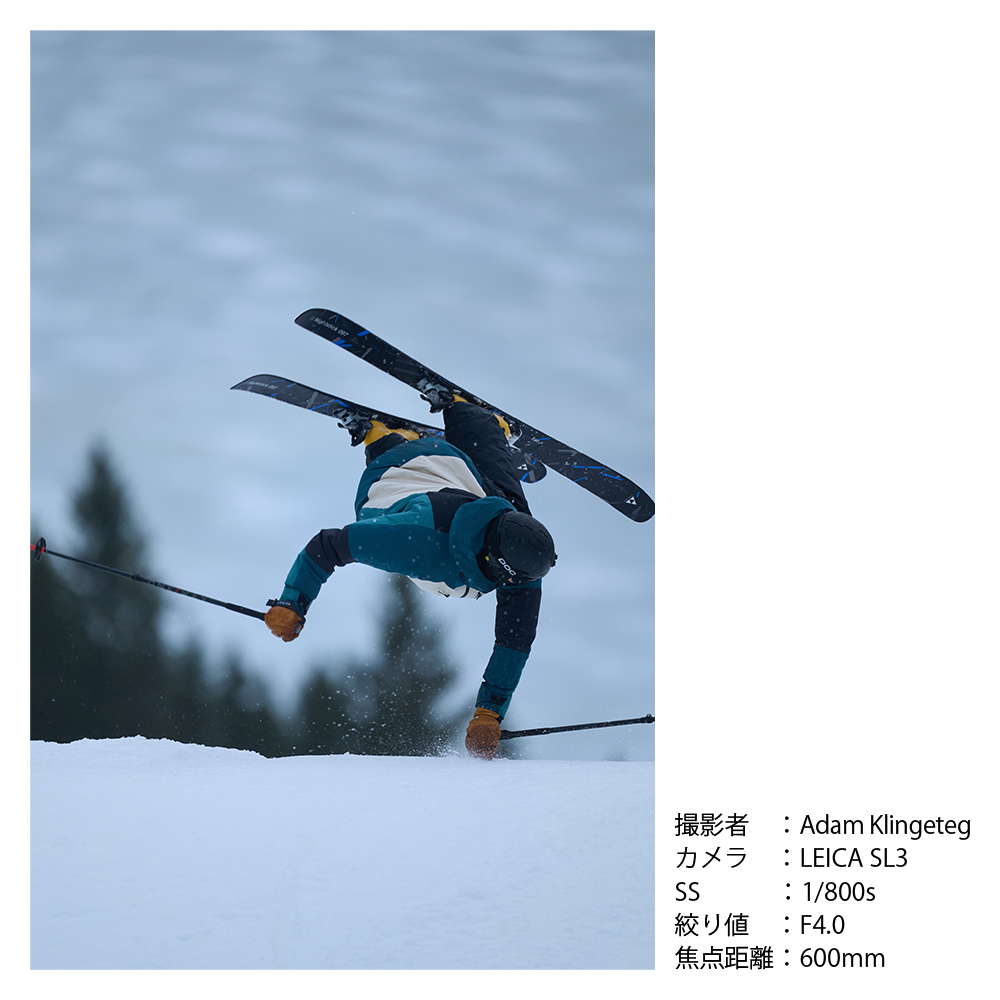 SIGMA 300-600mm F4 DG OS | SportsããœããŒEããŠã³ãã