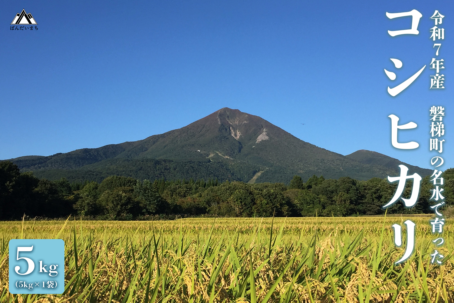 【先行予約・限定】【令和7年産米】コシヒカリ5kg　磐梯町の名水で育ったコシヒカリ　1月下旬発送