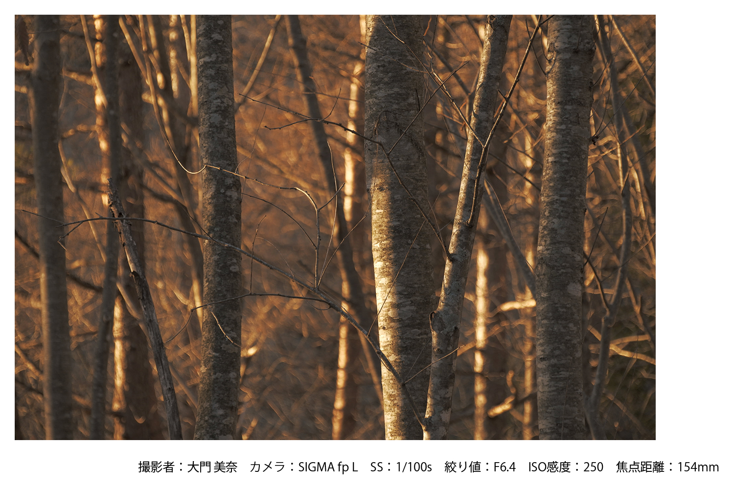 SIGMA 16-300mm F3.5-6.7 DC OS | Contemporary【富士フイルムXマウント】