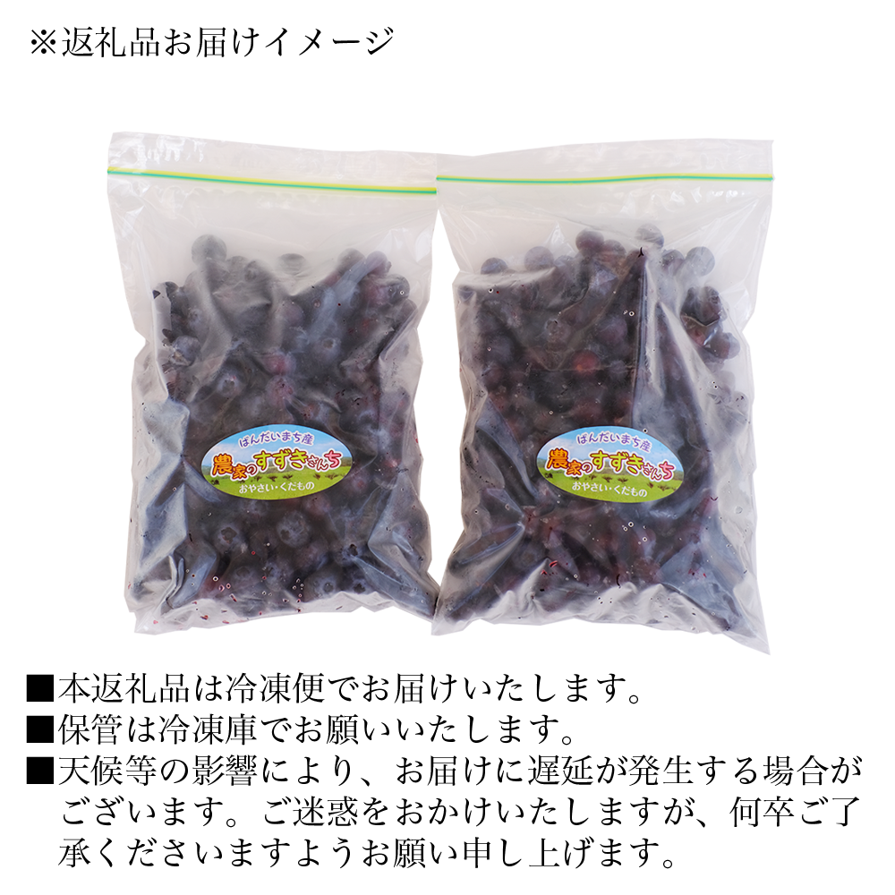 【ふるさと納税】冷凍ブルーベリー 1kg 直径13mm以上　※ご注文後随時発送