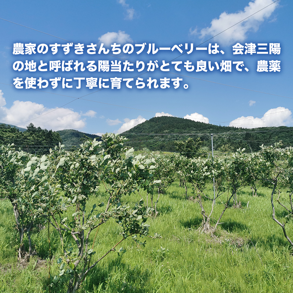 【ふるさと納税】冷凍ブルーベリー 1kg 直径13mm以上　※ご注文後随時発送