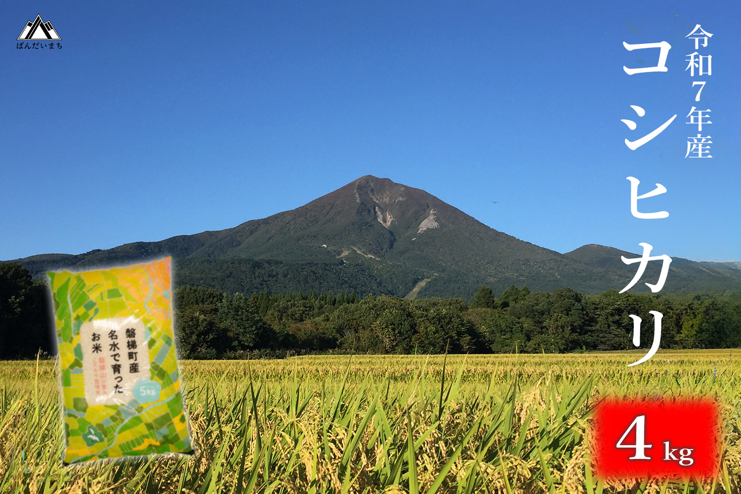 【令和7年産米】会津・磐梯町産コシヒカリ 4kg ｜日本名水百選の名水育ち｜精米したてを直送｜冷めてもおいしい人気米｜一等米