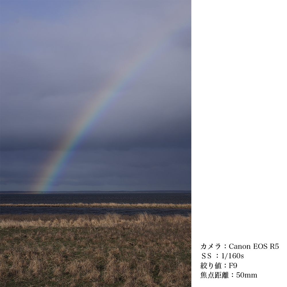 SIGMA 18-50mm F2.8 DC DN｜Contemporary【キャノンRFマウント】