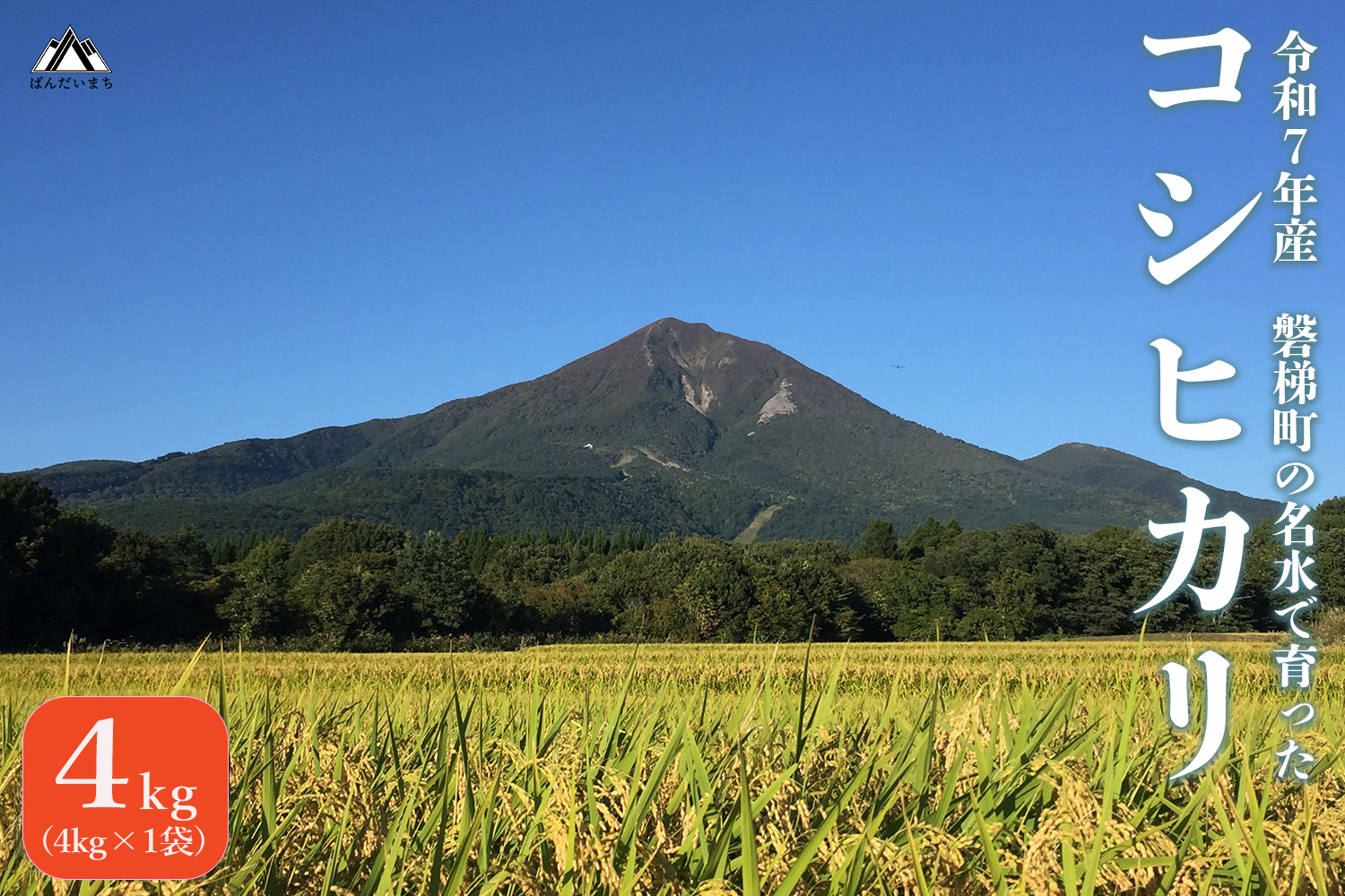 【令和7年産米】コシヒカリ4kg　磐梯町の名水で育ったコシヒカリ　スピード発送　精米