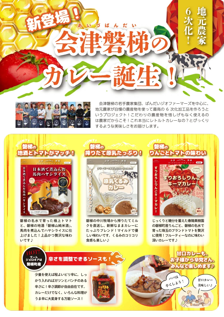 会津名産の馬肉と磐梯町産の野菜を贅沢に使用！日本酒で煮込んだ馬肉ハヤシライス10食セット