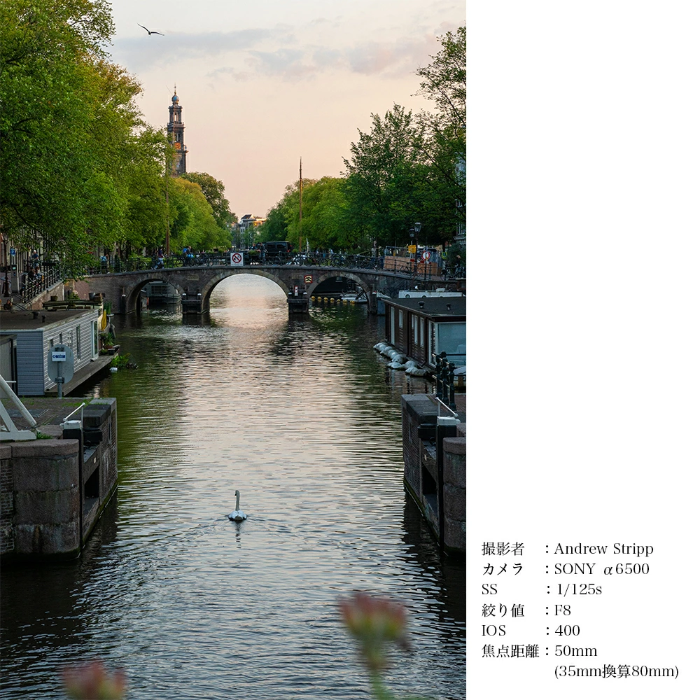 SIGMA 18-50mm F2.8 DC DN｜Contemporary【富士フィルムXマウント】