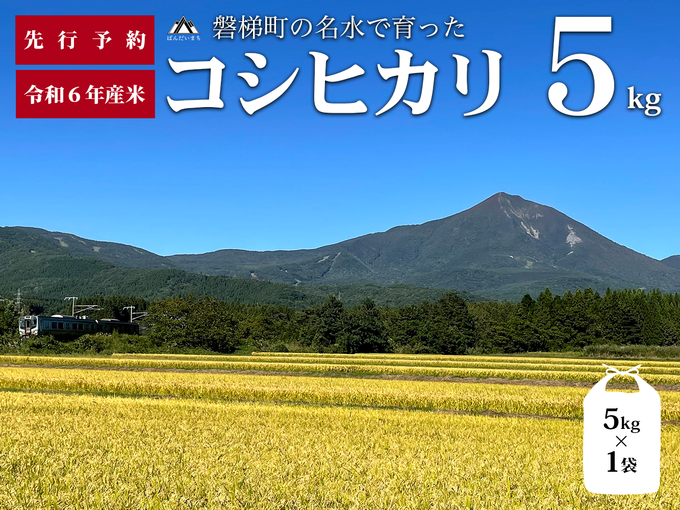 【予約受付】【令和6年産米】コシヒカリ5kg　磐梯町の名水で育ったコシヒカリ　※2024年11月下旬頃より発送予定