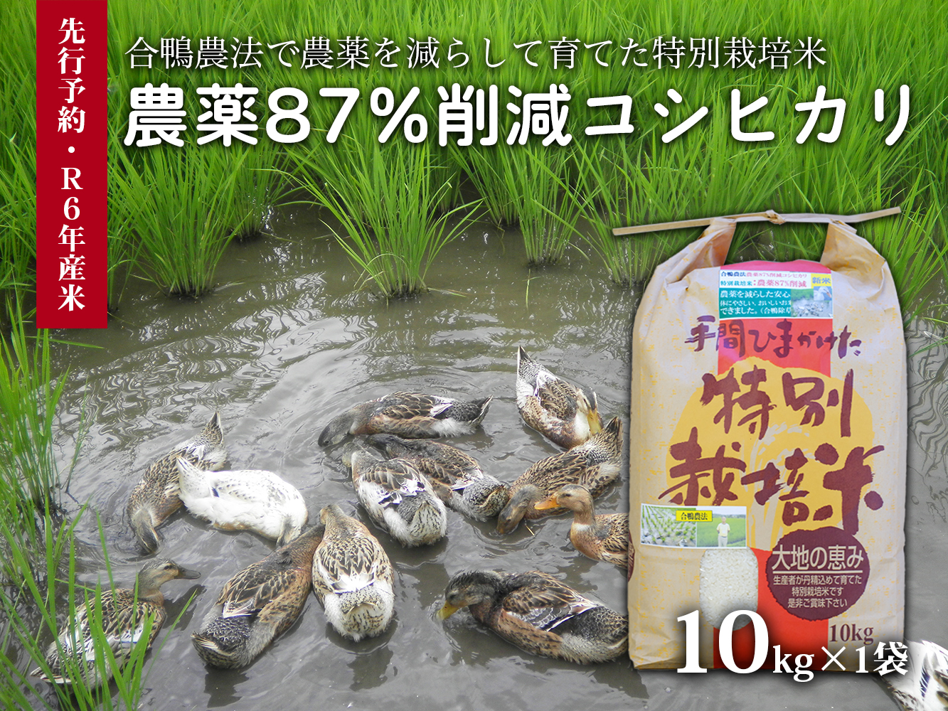 【令和6年産新米・先行受付】農薬87%削減　コシヒカリ米　合鴨農法　10kg(特別栽培米、旧名：会津磐梯山黄金米） ※2024年10月10日以降順次発送予定