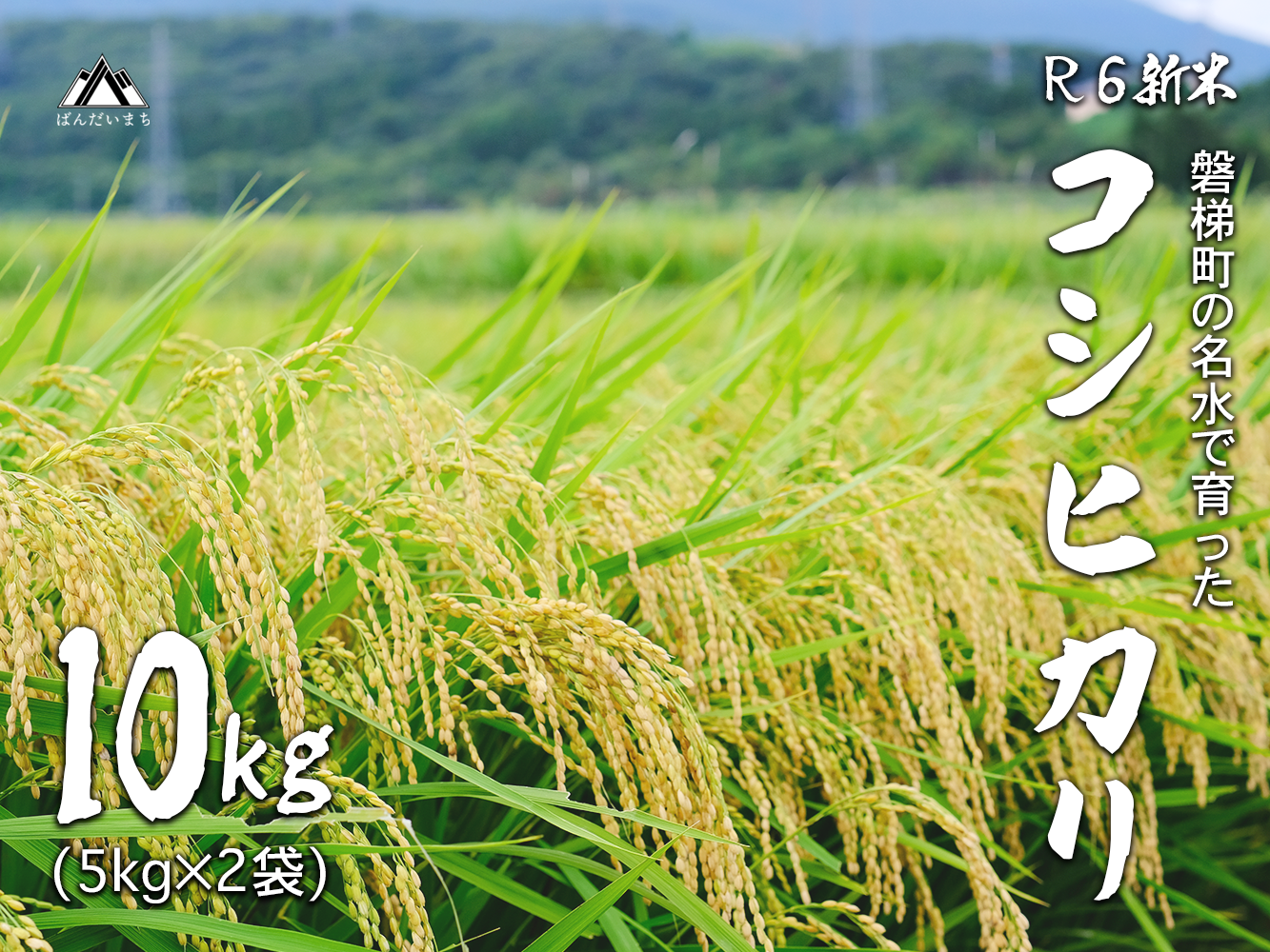  【予約受付】【令和6年産米】コシヒカリ10kg　磐梯町の名水で育ったコシヒカリ