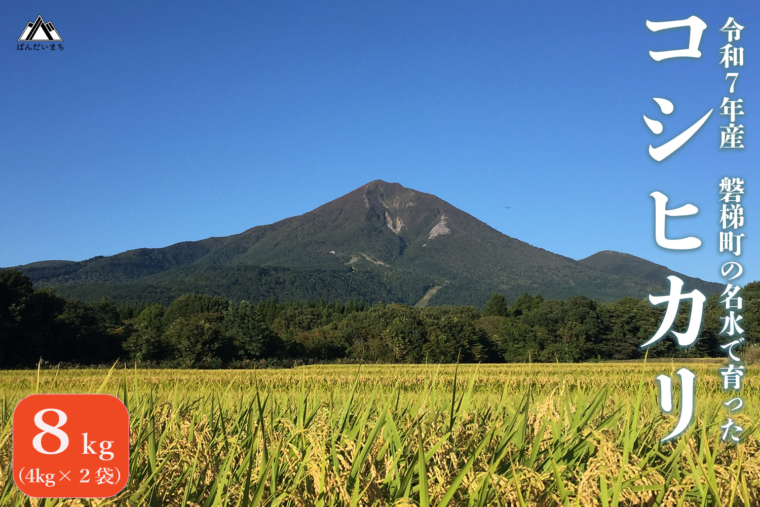 【令和7年産米】コシヒカリ8kg　磐梯町の名水で育ったコシヒカリ　スピード発送　精米