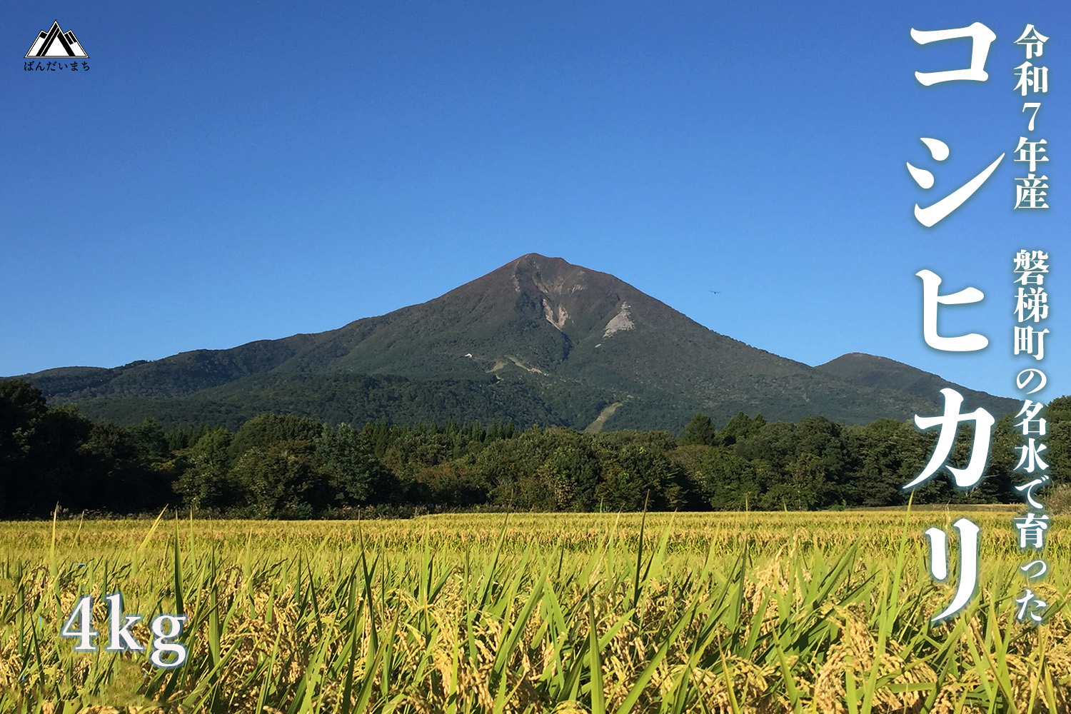 【令和7年産米】コシヒカリ4kg　磐梯町の名水で育ったコシヒカリ　精米