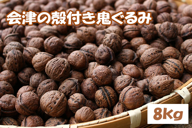 殻つき 会津の鬼ぐるみ８kg