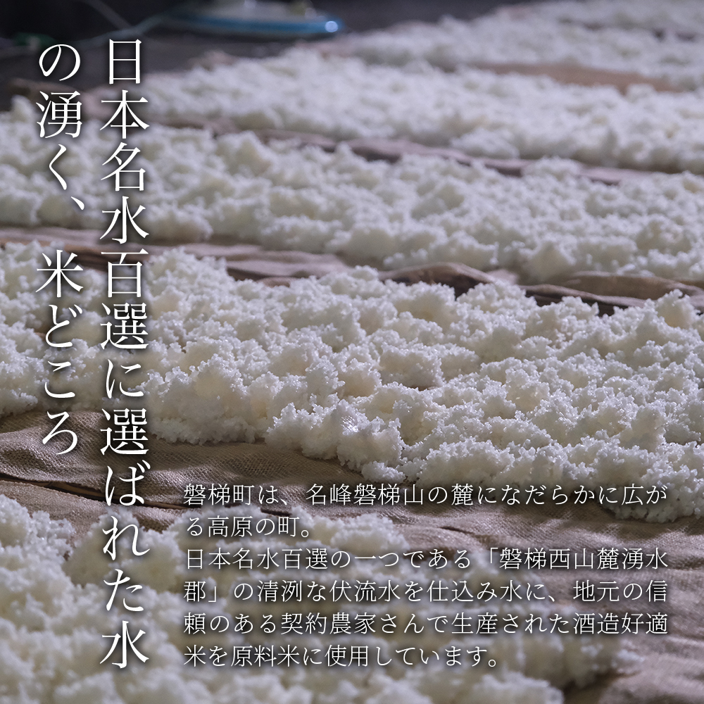 縲仙郁。悟女莉倥代千」先「ッ驟帝荳逡ェ莠コ豌冷シ縲 荵嶺クケ蝮翫荳蜊螢懊邏皮アウ蜷滄ク縲辟。繧阪°逕溷次驟停裸 窶サ2026蟷エ2譛茨ス3譛磯鬆谺。逋コ騾∽コ亥ョ