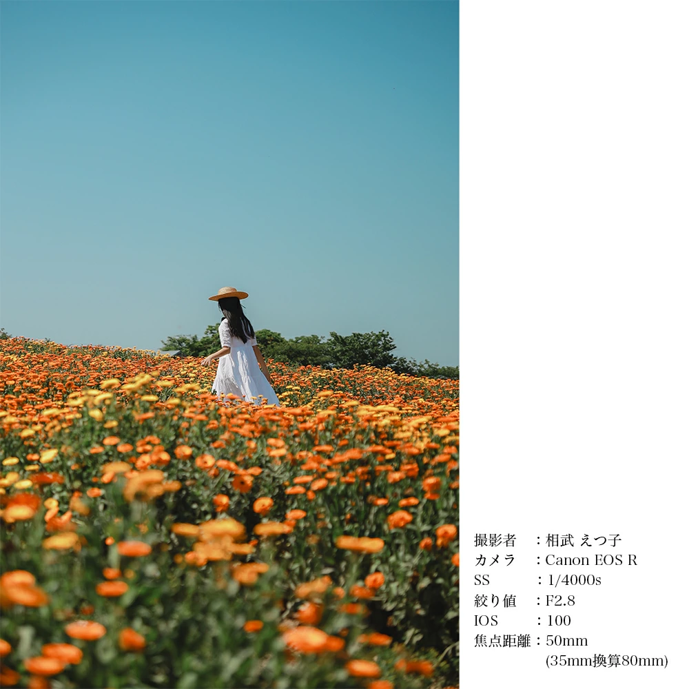 SIGMA 18-50mm F2.8 DC DN｜Contemporary【富士フィルムXマウント】