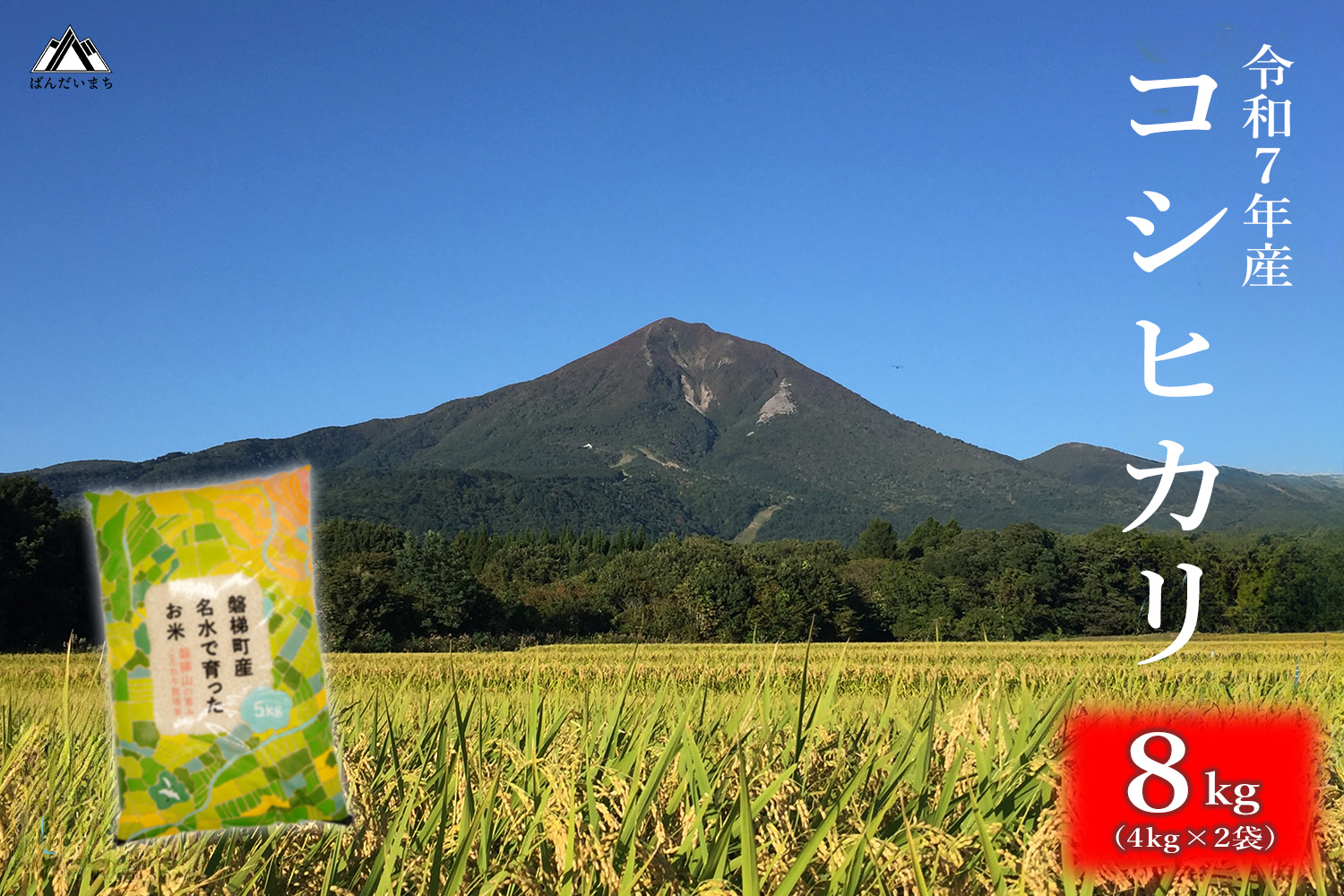 【令和7年産米】会津・磐梯町産コシヒカリ 8kg ｜日本名水百選の名水育ち｜精米したてを直送｜冷めてもおいしい人気米｜一等米