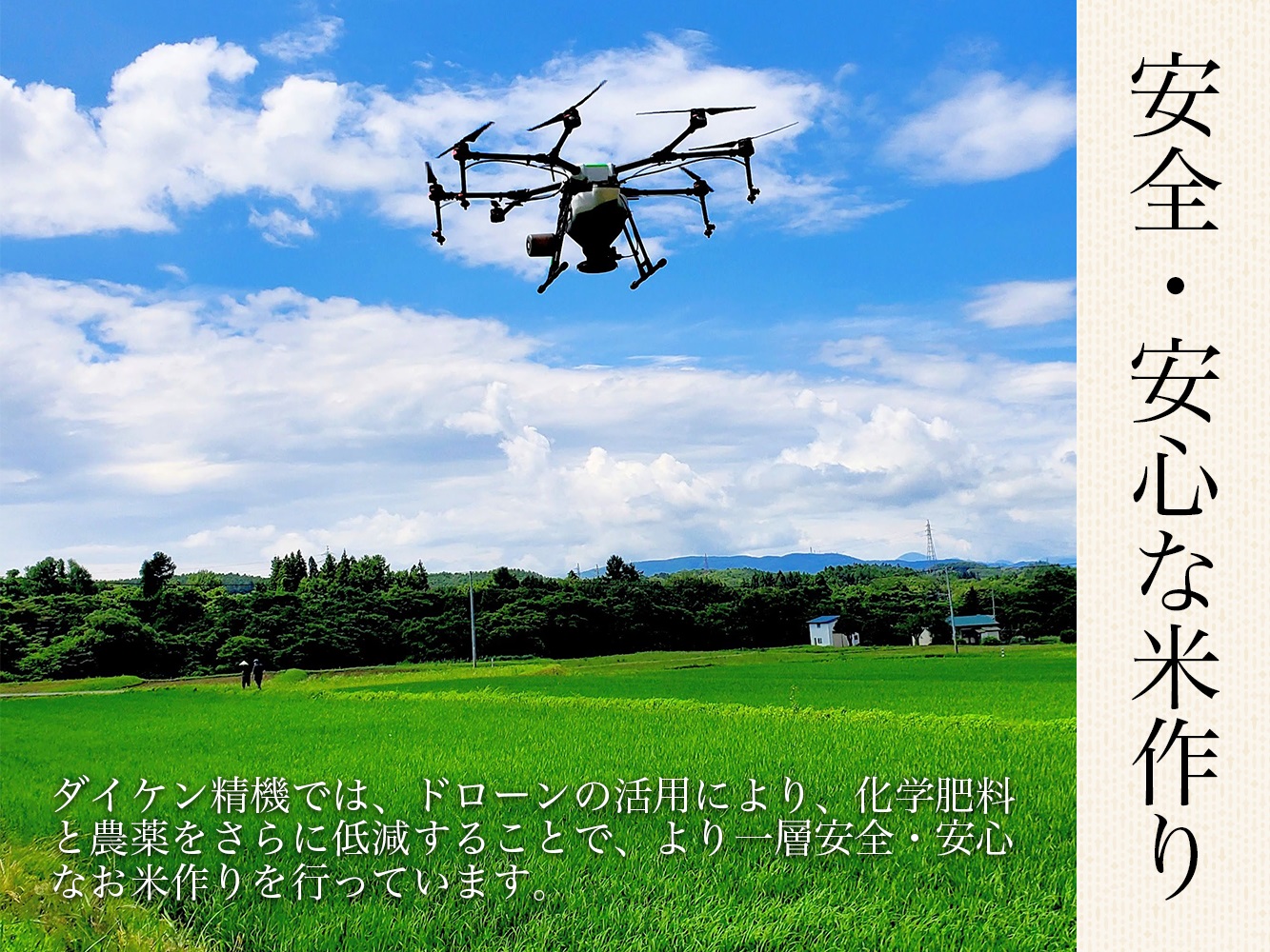 【令和6年産】 極上の会津米 ひとめぼれ 10kg（5kg×2袋）