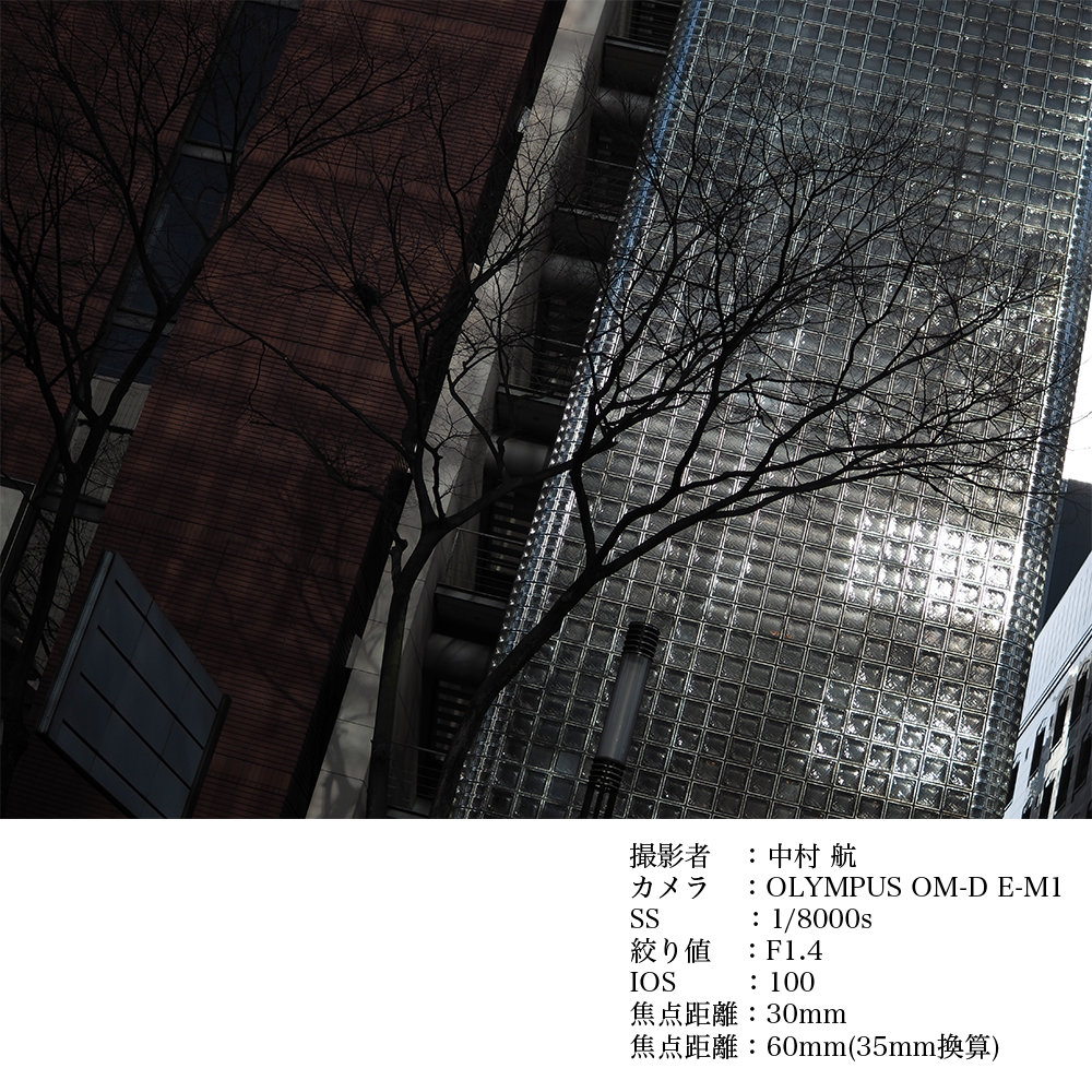 SIGMA 30mm F1.4 DC DN | Contemporary縲舌た繝九シE繝槭え繝ウ繝医代き繝。繝ゥ 繝ャ繝ウ繧コ 螳カ髮サ