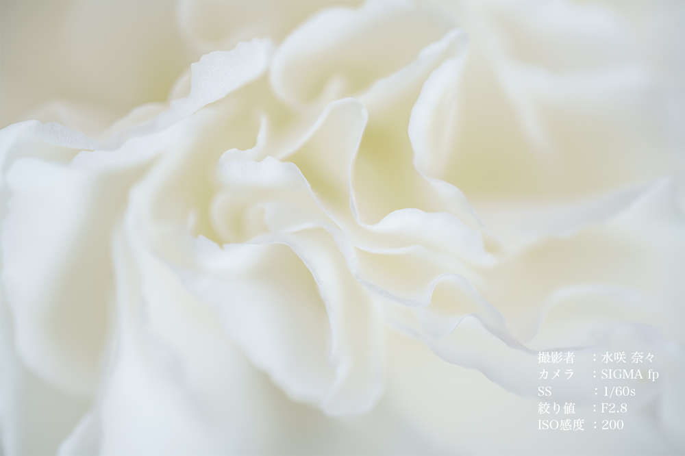 【Lマウント用】SIGMA 105mm F2.8 DG DN MACRO｜Art