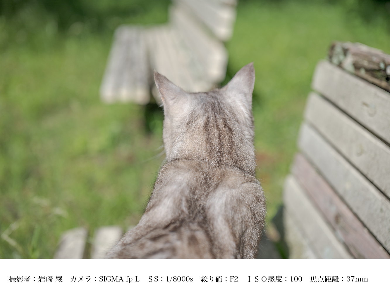 SIGMA 28-45mm F1.8 DG DN | Art【Lマウント用】