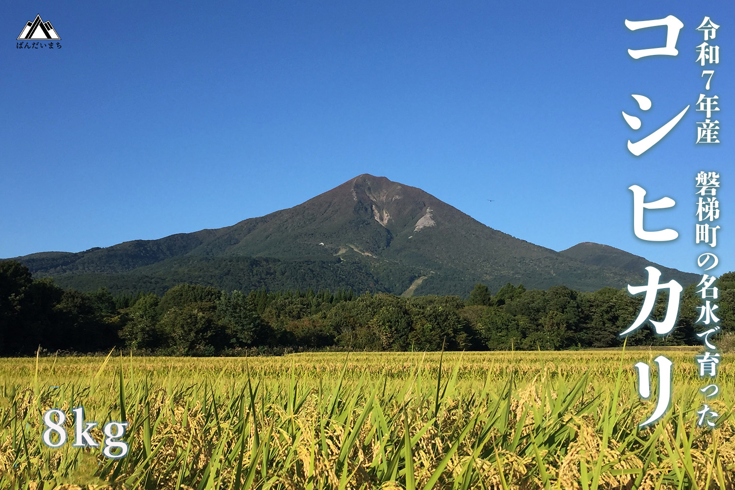 【令和7年産米】コシヒカリ8kg　磐梯町の名水で育ったコシヒカリ　精米