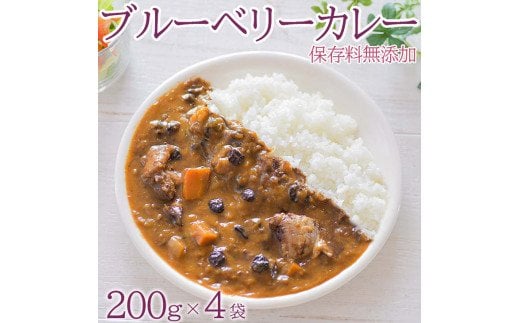 ブルーベリーカレー