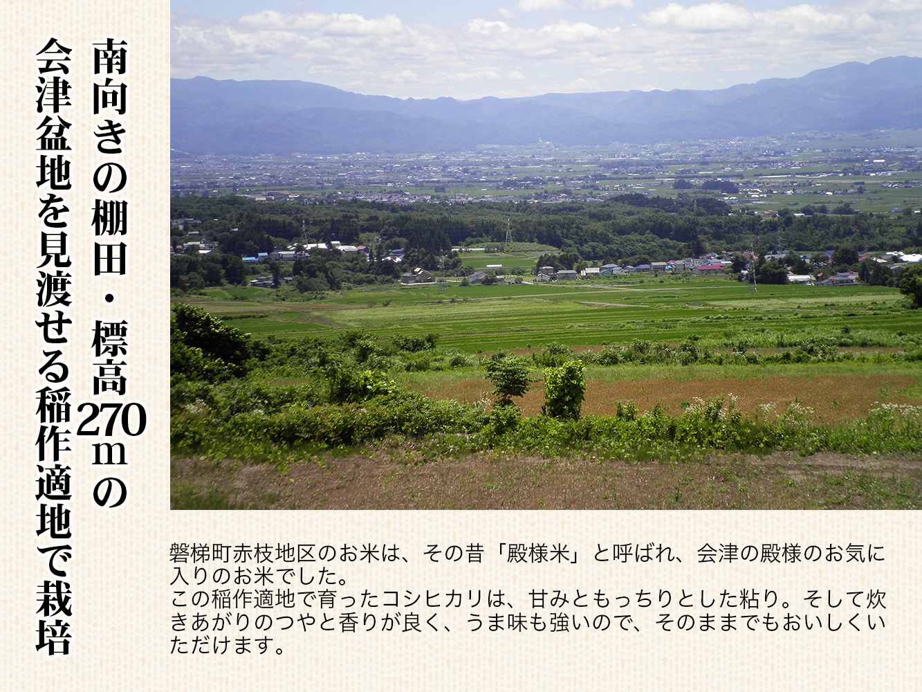 【令和6年産新米】農薬不使用　コシヒカリ米　合鴨農法　10kg(特別栽培米、旧名：会津磐梯山宝米） 