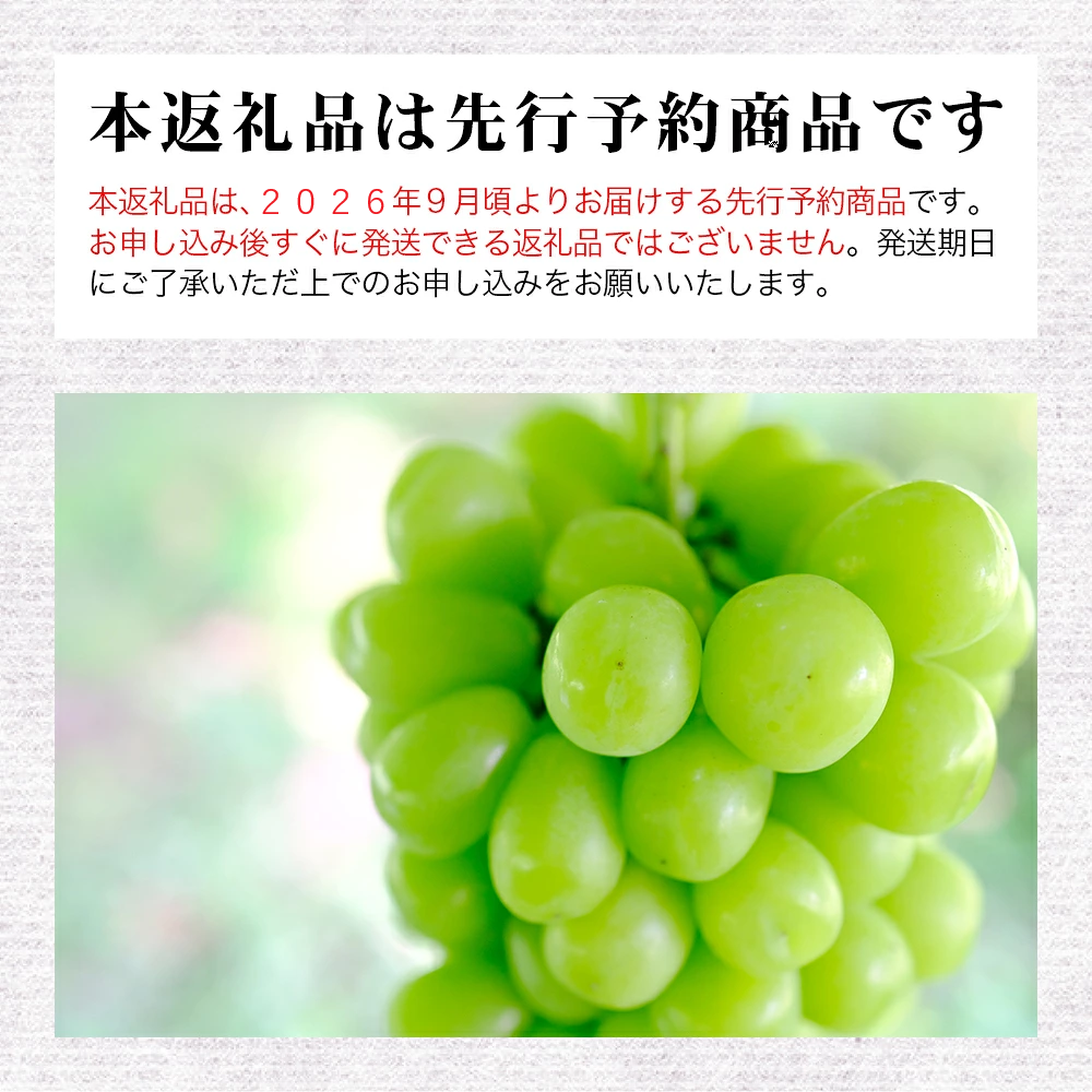 ãå
è¡äºçŽãç£æ¢¯çºç£ ã·ã£ã€ã³ãã¹ã«ãã çŽ1.5kgïŒ2æ¿ïœ3æ¿ïŒãâ»2026幎9æïœ10æçºéäºå®