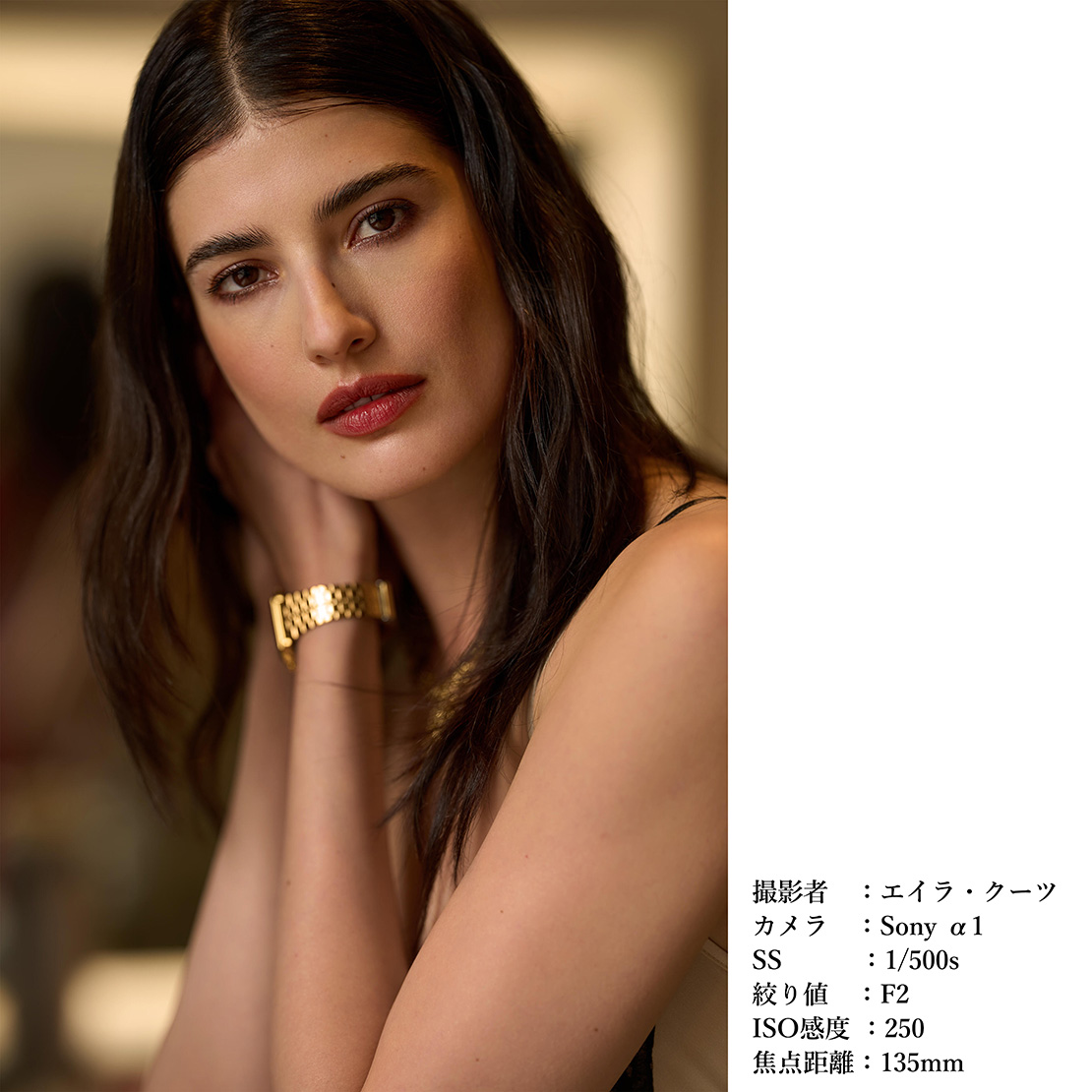 SIGMA 135mm F1.4 DG | ArtãLããŠã³ãã