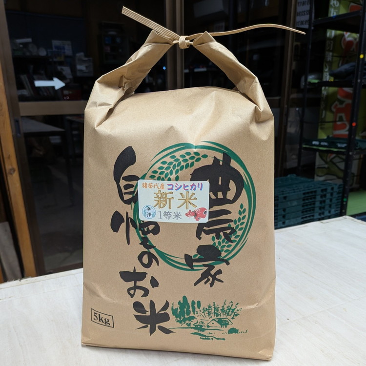 令和7年産 新米 コシヒカリ 10kg ｜ 白米 精米 生産者直送 産地直送 猪苗代産 はんざわエコファーム ※沖縄・離島への配送不可