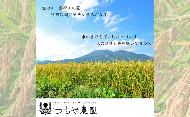 【令和6年産新米】猪苗代町産 特別栽培米ひとめぼれ 5kg（精米）