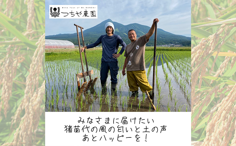 【令和6年産新米】猪苗代町産 特別栽培米ひとめぼれ 10kg（精米）