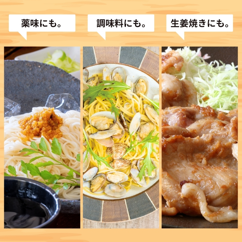 うまくて生姜ねぇ!!12本セット 【しょうが 国産 醤油漬け ごはんのお供 お弁当 調味料 おつまみ 肴 薬味 隠し味 猪苗代町 福島県】