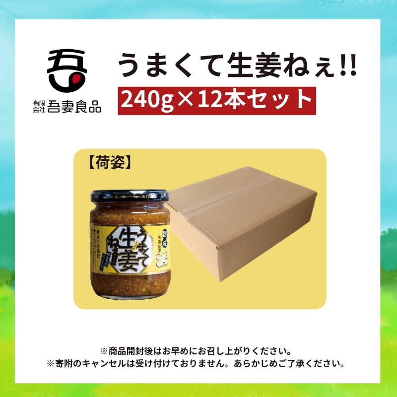 うまくて生姜ねぇ!!12本セット 【しょうが 国産 醤油漬け ごはんのお供 お弁当 調味料 おつまみ 肴 薬味 隠し味 猪苗代町 福島県】