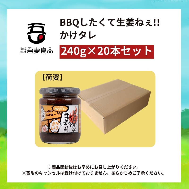 BBQしたくて生姜ねぇ!!かけタレ20本セット 【しょうが 国産 醤油漬け バーベキュー 焼肉 たれ ごはんのお供 お弁当 調味料 おつまみ 肴 薬味 隠し味 猪苗代町 福島県】