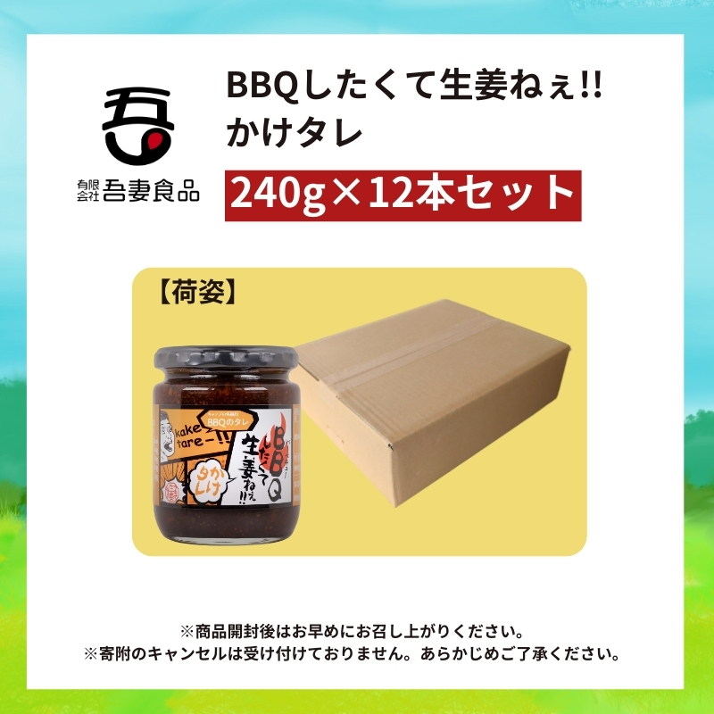 BBQしたくて生姜ねぇ!!かけタレ12本セット 【しょうが 国産 醤油漬け バーベキュー 焼肉 たれ ごはんのお供 お弁当 調味料 おつまみ 肴 薬味 隠し味 猪苗代町 福島県】