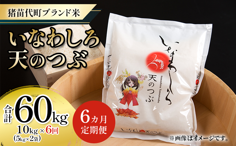 定期便 【6ヵ月連続】猪苗代町ブランド米 いなわしろ天のつぶ 10kg 米 お米 精米 白米 福島 大粒 寿司 和食